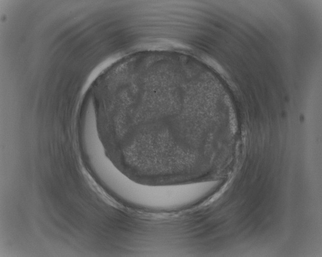 X0000081471122200702092333