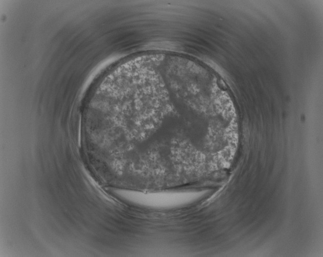 X0000081471123200702092333