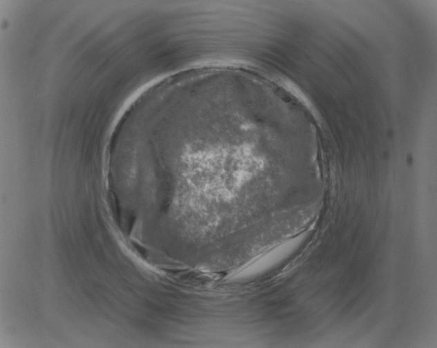 X0000081471124200702092333