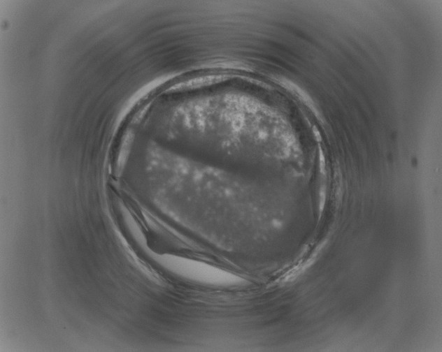 X0000081471125200702092333