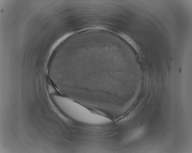 X0000081471127200702092333