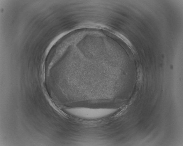 X0000081471128200702092333