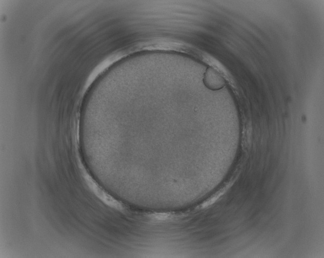 X0000081471130200702092333