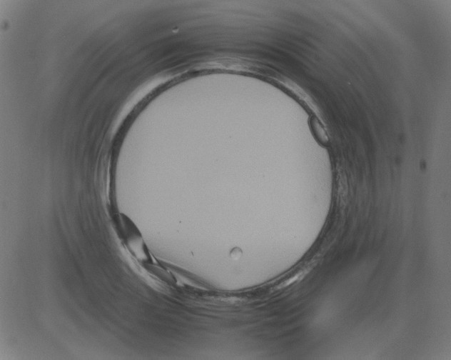 X0000081471131200702092333