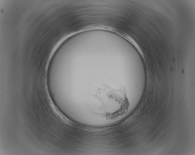 X0000081471132200702092333