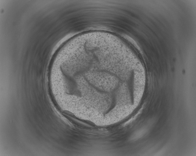 X0000081471133200702092333