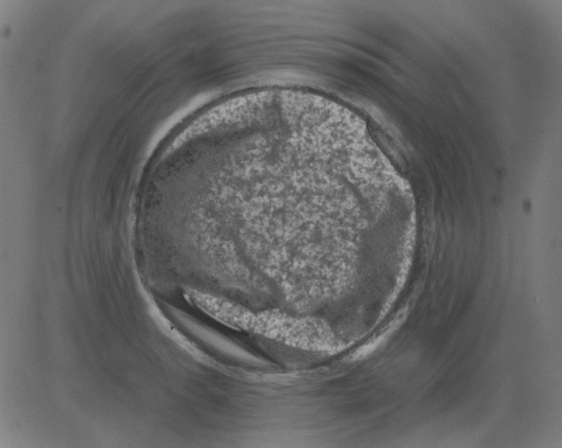 X0000081471134200702092333