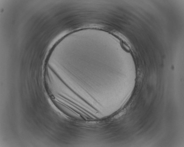 X0000081471135200702092333