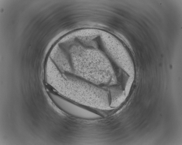 X0000081471136200702092333