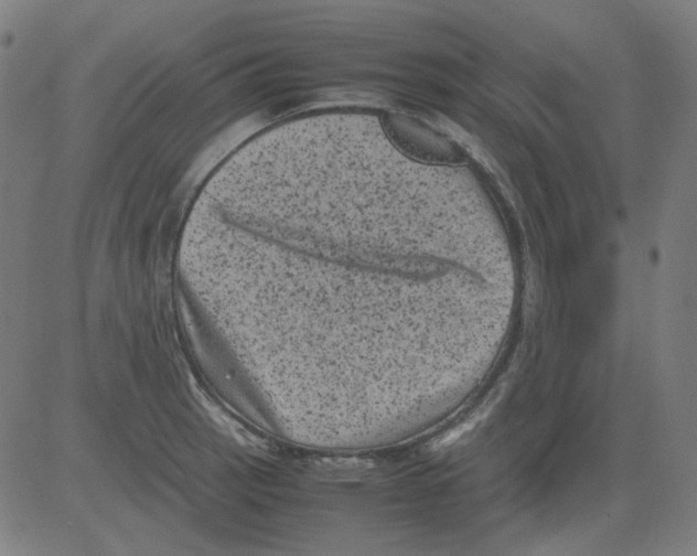 X0000081471137200702092333