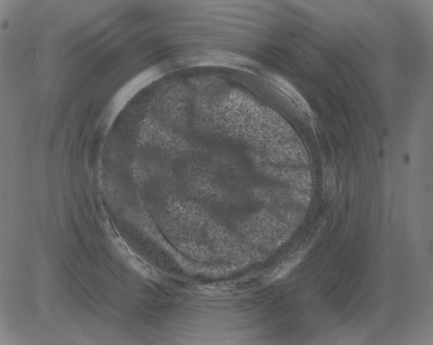 X0000081471138200702092333