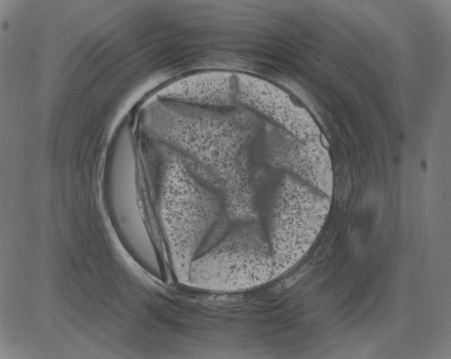 X0000081471139200702092333