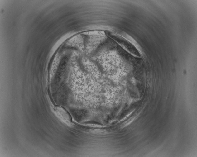 X0000081471140200702092333