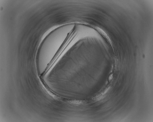 X0000081471141200702092333