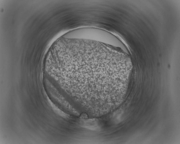 X0000081471143200702092333