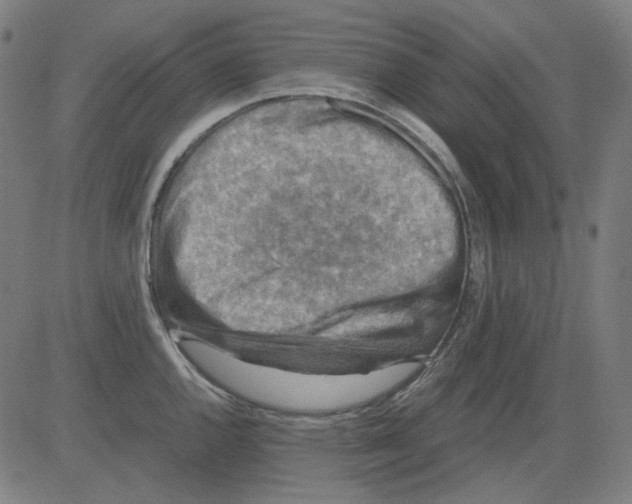 X0000081471144200702092333