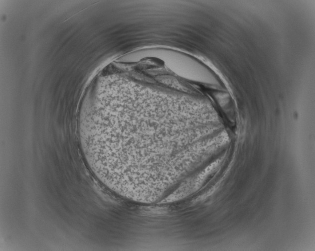 X0000081471145200702092333