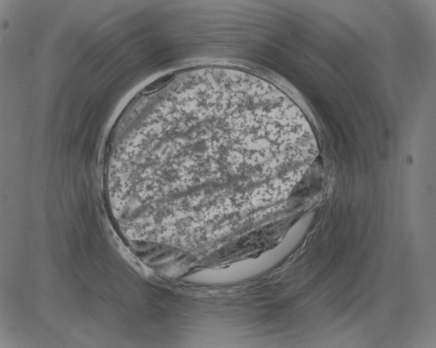 X0000081471148200702092333