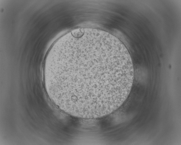 X0000081471150200702092333