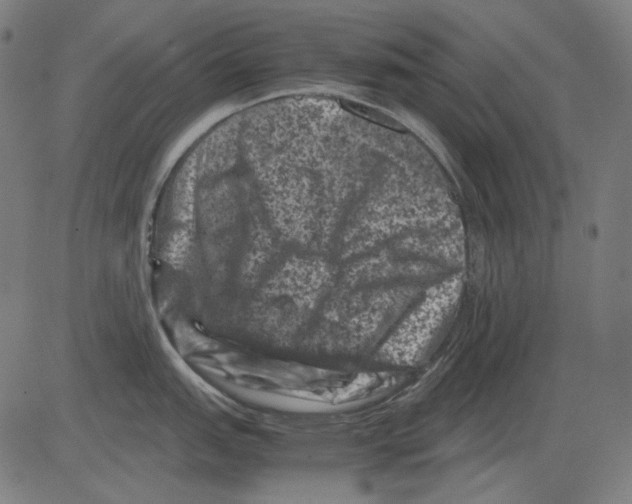 X0000081471151200702092333