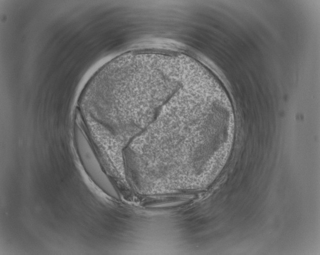 X0000081471152200702092333