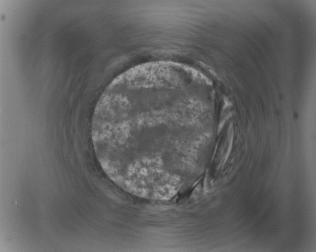 X0000081471153200702092333