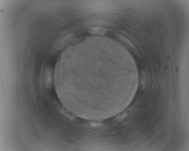 X0000081471154200702092333