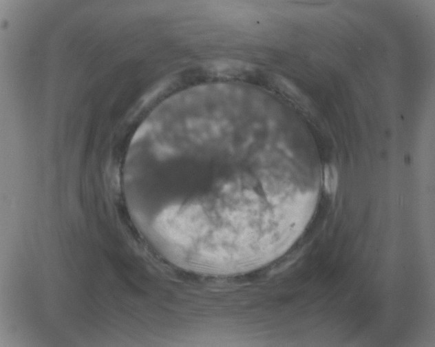 X0000081471155200702092333