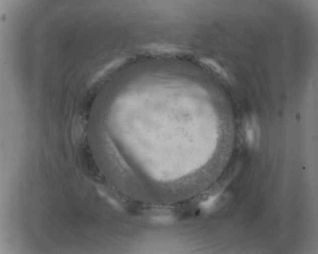 X0000081471157200702092333