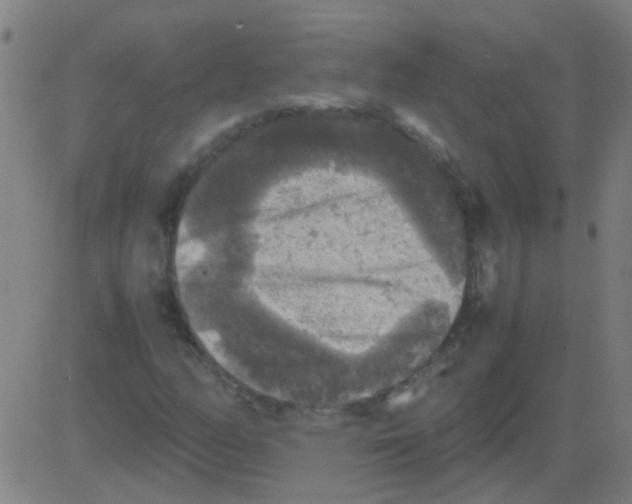 X0000081471158200702092333