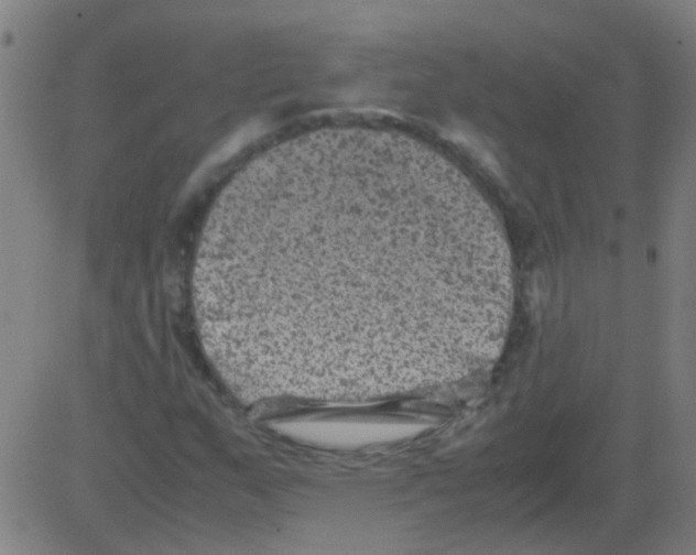 X0000081471159200702092333