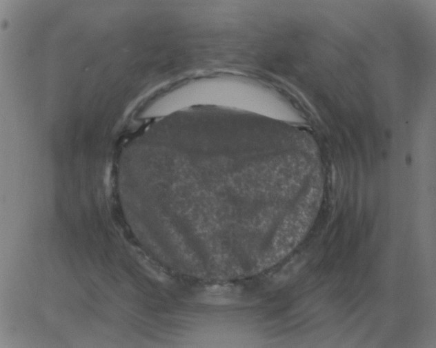 X0000081471160200702092333