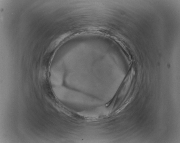 X0000081471161200702092332