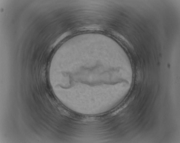 X0000081471162200702092332