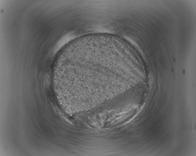 X0000081471163200702092332