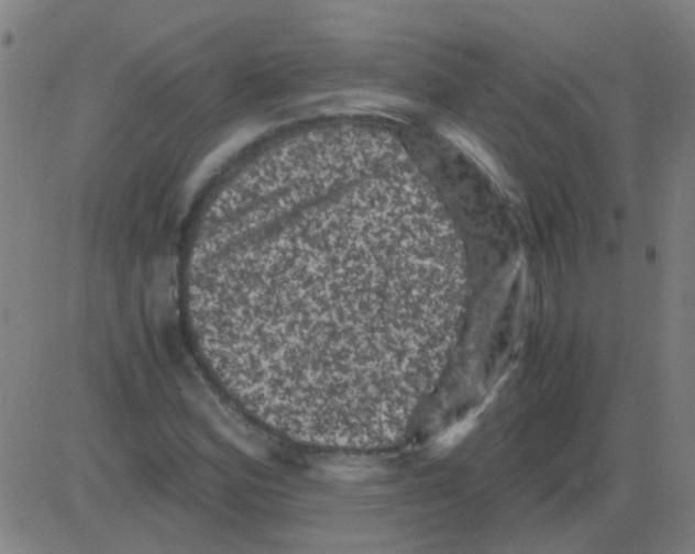 X0000081471164200702092332