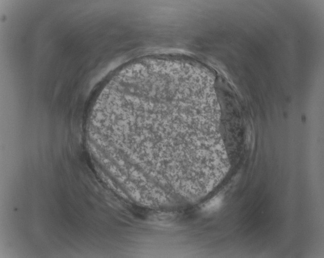 X0000081471165200702092332