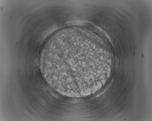 X0000081471166200702092332