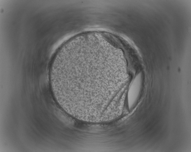 X0000081471167200702092332