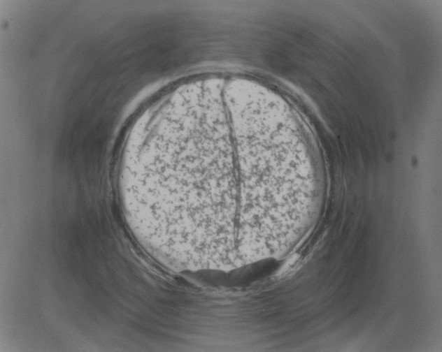 X0000081471168200702092332