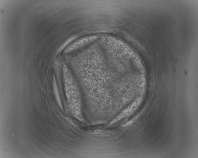 X0000081471169200702092332