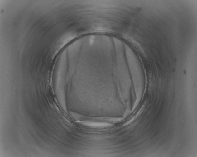 X0000081471170200702092332