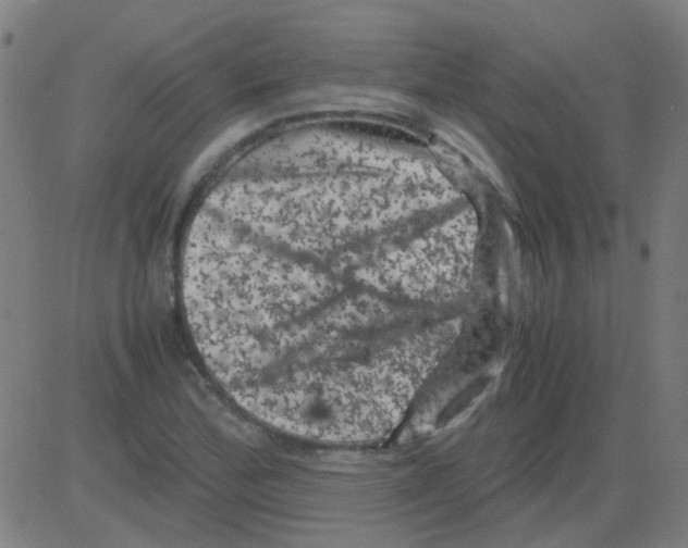 X0000081471172200702092332