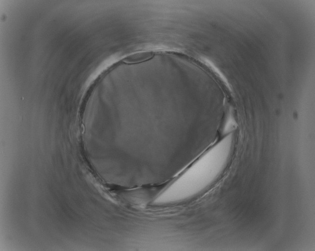 X0000081471173200702092332