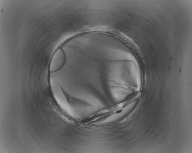 X0000081471174200702092332