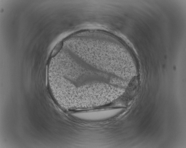 X0000081471175200702092332