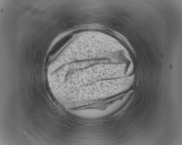 X0000081471176200702092332