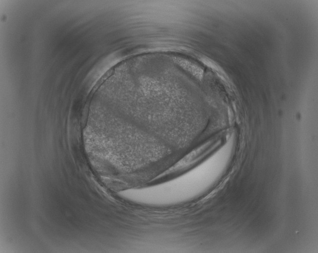 X0000081471177200702092332