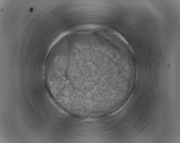 X0000081471178200702092332