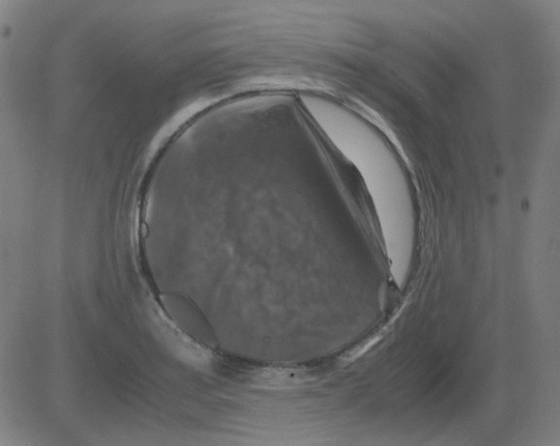 X0000081471179200702092332